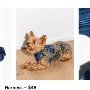 WILD ONE Pet Harness (Navy)